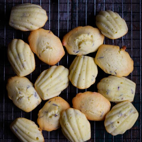 10+ BEST Madeleine Recipes (easy & delicious) Tasha's Artisan Foods